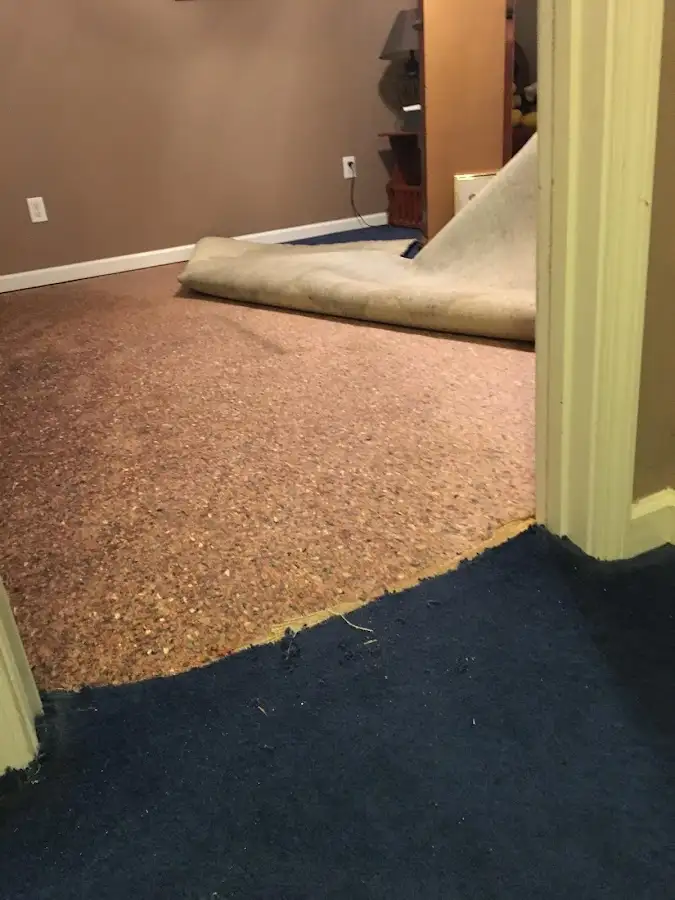 Carpet pad removal revealing water damage during Water Mitigation Services in Ash