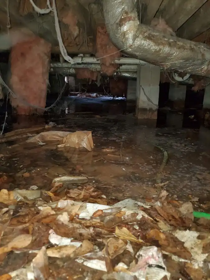 Crawl space flood assessment for Commercial Water Damage Restoration in Ash