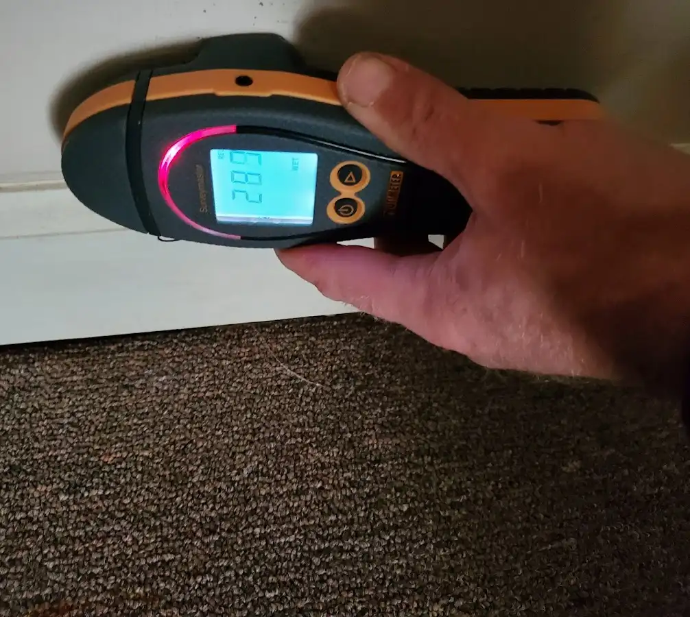 Moisture detection at baseboard during Storm Damage Restoration in Ash